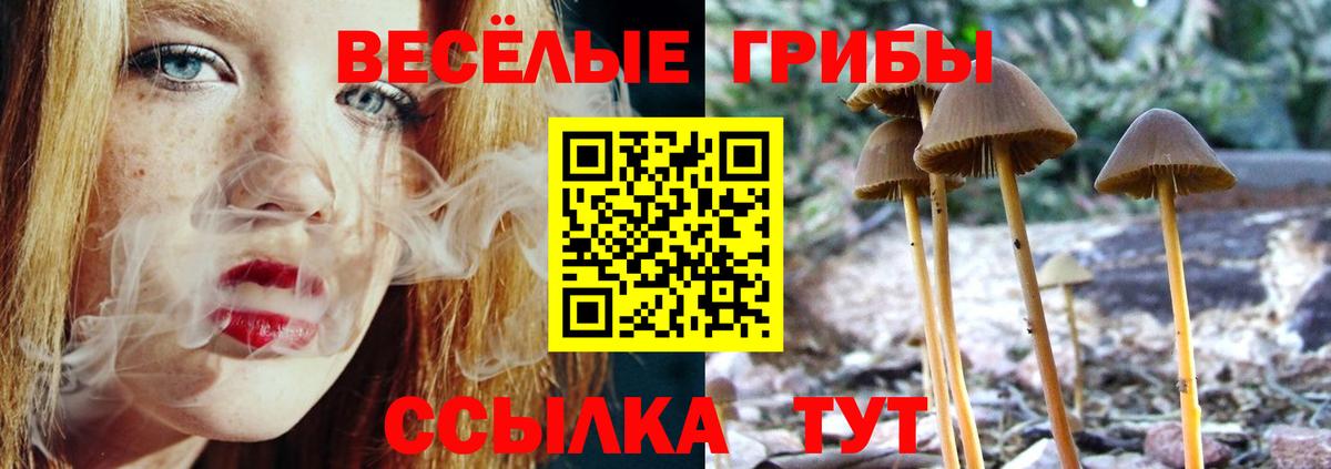 Галлюциногенные грибы мухоморы  Вход с VPN  Нерюнгри 