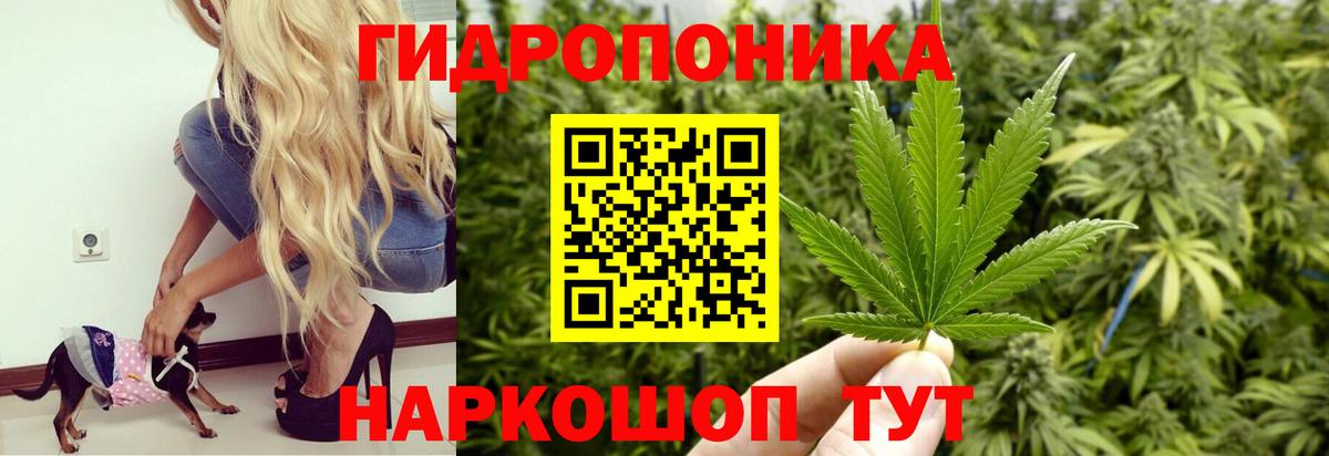 Бошки Шишки Amnesia  Канабис индика  Нерюнгри  Каннабис THC 21%  Вход с VPN 